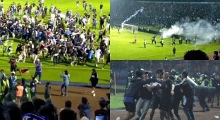 Более 120 человек погибли на футбольном матче в Индонезии (6 фото + 1 видео)
