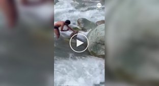 В Індії хлопець врятував мавпу, яку мало не забрало течією.