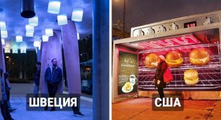 15 original stops where waiting for the bus will turn into a real pleasure (16 photos)