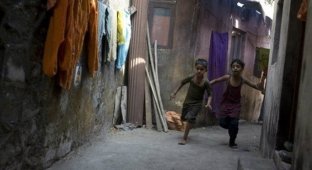 The slums from the movie "Slumdog Millionaire" are going to be reconstructed (2 photos)