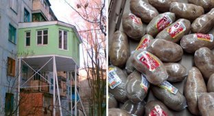 16 примеров, когда поступки людей доходят до абсурда, и им нет логического объяснения (17 фото)