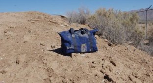 An unusual find in the Californian desert (3 photos)