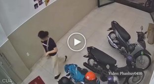 Девушка не заметила стеклянную дверь и врезалась в нее