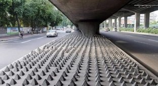 Why China puts concrete pyramids under flyovers and bridges (5 photos)
