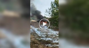 SBU special forces used a drone to destroy the Russian self-propelled gun MSTA-S in the occupied Kherson region (mat)