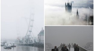 Самый известный туман-убийца в мире (15 фото)