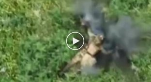 Оккупант на поле боя кончает жизнь самоубийством, заложив гранату под голову