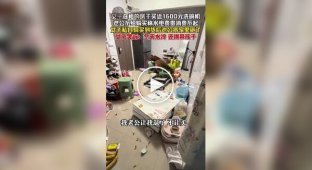 Китаец разгромил квартиру после того, как жена купила посудомоечную машину без его согласия