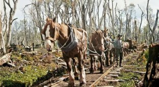 Незвичайні та цікаві знімки з різних країн світу, зроблені у XX столітті (21 фото)