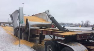 В Канаде грузовик с поднятым кузовом протаранил мост и рассыпал зерно по шоссе (4 фото + 1 видео)