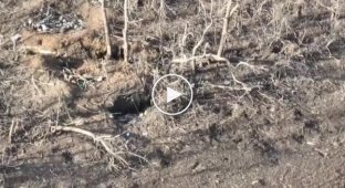 The drone fell into a Russian hole