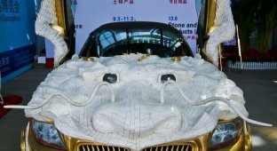 Тюнинг BMW в стиле Летающий дракон (4 фото)