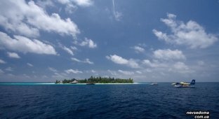 Дайвинг на Мальдивах (31 фотография)