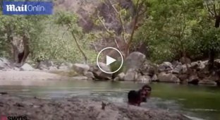 Трое индусов сняли случайно на видео собственную смерть, утонув в глубоком пруду