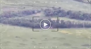 Силы обороны поразили вражеские танки и миномет, которые вели огонь по нашим позициям на Покровском направлении