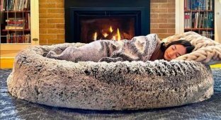 Dog beds for people (3 photos)