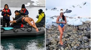 Swimmer from Chile swam 2.5 km in the waters of Antarctica (9 photos + 2 videos)