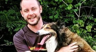 An Irishman was arrested in Dubai for publishing a negative review of a dog beauty salon on the Internet (2 photos)