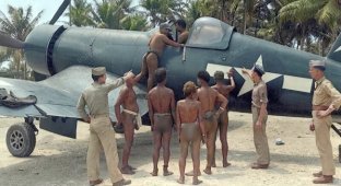 Rare and interesting photographs from the front lines of World War II (21 photos)