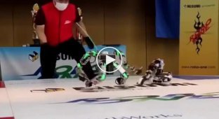 Турниры боевых роботов Robo-One вот уже несколько десятилетий захватывают умы японцев