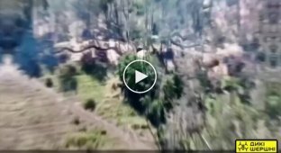Воїни 40-ї ОАБр дронами Дікі Шершні атакують російських загарбників