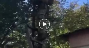 A selection of videos of damaged Russian equipment in Ukraine. Issue 80