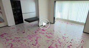 The effectiveness of a robot vacuum cleaner