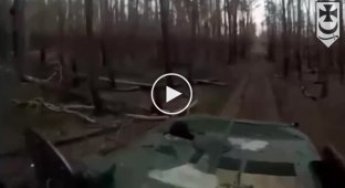 Ukrainian BMP-2 fires at Russian positions in the Liman direction