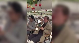 Strawberry farm in China, equipped as a cafe