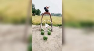 Арбузное кунг-фу