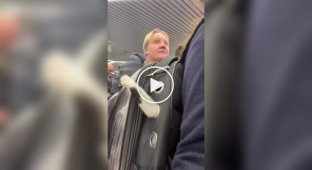 Транспортировка буйного пушистого пассажира