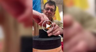 Юла у повітрі: Неймовірний трюк