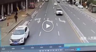 Пес угнал автомобиль хозяина