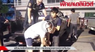 Русский турист укусил за ногу полицейского в Таиланде