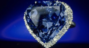 A selection of the most expensive jewelry in the world (17 photos)