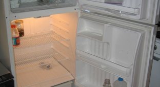 Холодильники холостяков (21 фото)