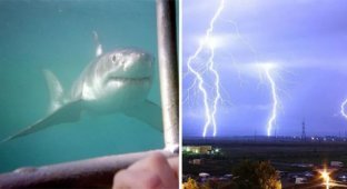 30 удивительных фактов, которые взорвут ваш мозг (31 фото)