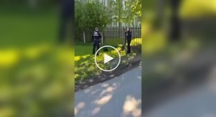 В Риге полицейские задержали бобра за «неправильный отдых»