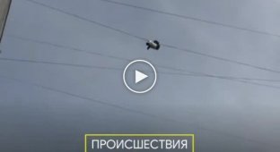 Человек-паук из Владивостока разбился, пытаясь проползти по проводам с одного дома на другой