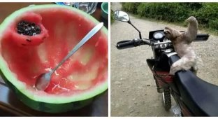 25 реальных жизненных моментов, которые невозможно выдумать (26 фото)