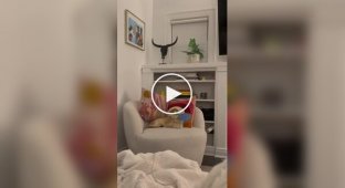 The cat sings along to the Netflix intro