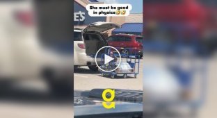 Girl came up with a strange but working way to transport goods