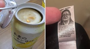 10+ привычных многим объектов, которые в других странах выглядят несколько иначе (13 фото)