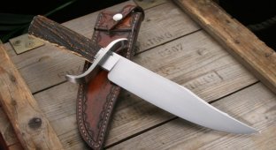 Types of the best combat knives (11 photos)