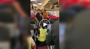 Змія пробралася в літак і налякала пасажирів