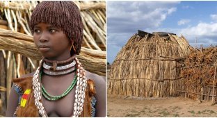Жуткие традиции Эфиопии: как в племенах лишают невинности невест (5 фото)