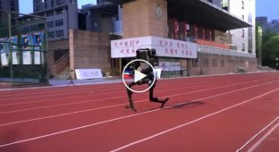 Китайська компанія показала найшвидшого робота