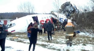 Авиакатастрофа в Домодедово (9 фото)