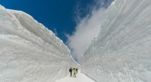 Тунель із снігу: 16 фото про те, як виглядає найсніжніша дорога планети (17 фото + 1 відео)