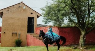 Charro escaramuza: how Mexican women are addicted to rodeo (8 photos + 1 video)